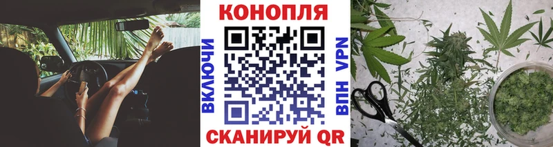 Бошки марихуана ГИДРОПОН  кракен сайт  Ковылкино  сколько стоит 